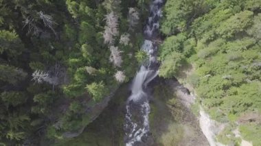 Ormandaki şelale manzarası