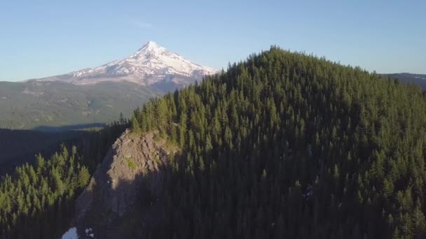 Bela Paisagem Com Montanha Floresta — Vídeo de Stock