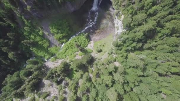 Rio Que Flui Floresta Vista Aérea — Vídeo de Stock