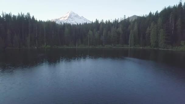 Wunderschöne Landschaft Mit Berg Und Wald — Stockvideo