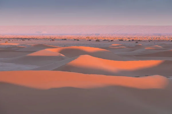 Solnedgång Över Sanddynerna Öknen Kalifornien Usa Upptäckts Och Äventyrsresor Koncept — Stockfoto