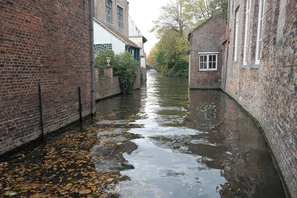 België Brugge Oktober 2019 Waterkanalen Brugge Belgium Noord Venetië Herfstreis — Stockfoto