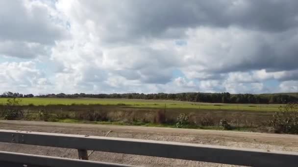 Nubes Cielo Hierba Pista Movimiento — Vídeo de stock