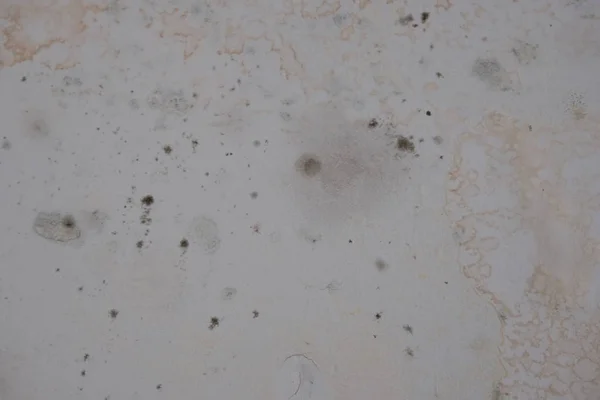 Mofo Fungo Parede Umidade Saneamento — Fotografia de Stock