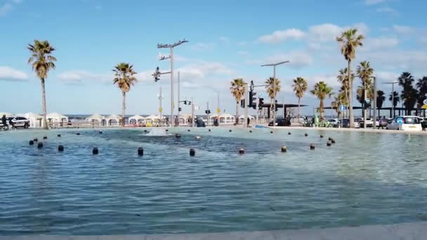 Isarel Tel Aviv January 2020 Pigeons Sitting Edge Fountain Sunny — Stock Video
