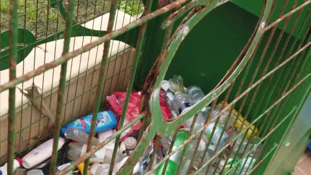 Isarel Netanya March 2020 Girl Recycling Plastic Bottles Machine Rubbish — Stock Video
