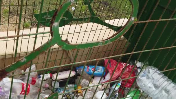 Isarel Netanya Marzo 2020 Niña Reciclando Botellas Plástico Una Máquina — Vídeo de stock