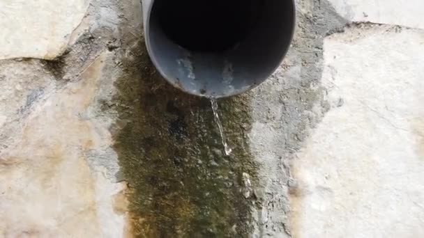 Closeup Water Running Gurden Hose — Stock Video