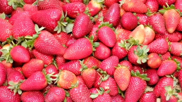 Close Strawberries Fresh Tasty Large — Stock Video