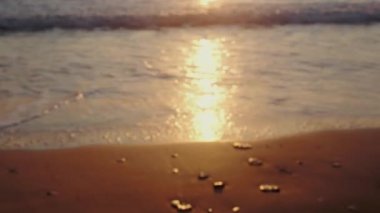 Bulanık odaklı video klibi güzel temiz plaj arkaplanı sarı gün batımında.