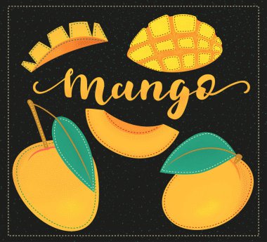 Mango. Tamamı ve parçaları. Vektör hisse senedi çizimi. Siyah arka planda karalama sanatı kullanan renkli meyve seti. Harf. 