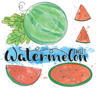 Karpuz. Tamamı ve parçaları. Vektör hisse senedi çizimi. Beyaz arka planda suluboya meyve seti. Harf. 