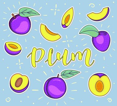 Erik. Tamamı ve parçaları. Vektör hisse senedi çizimi. Mavi arka planda renkli meyve seti izole edildi. Harf.