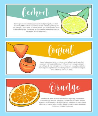 Taze meyve pankartı. Bir dilim portakal, lokuat, limon harfleri ve illüstrasyon. Vektör stok yiyecek ve içecek tasarımı. 
