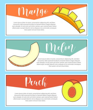 Taze meyve pankartı. Bir dilim mango, kavun, şeftali harfler ve illüstrasyon. Vektör stok yiyecek ve içecek tasarımı. 