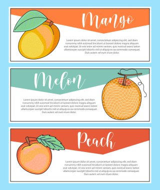 Taze meyve pankartı. Mango, kavun, şeftali harfler ve çizimler. Vektör stok yiyecek ve içecek tasarımı.