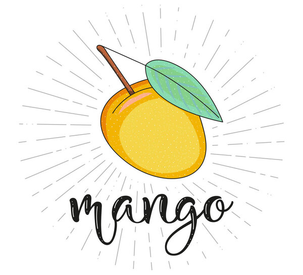 Mango. Fruit symbol for farm market menu. Healthy food design. Vector stock illustration. Lettering