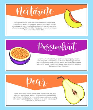 Taze meyve pankartı. Nektarin, tutku meyvesi, armut, harf ve illüstrasyon. Vektör stok yiyecek ve içecek tasarımı. 