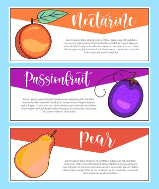 Taze meyve pankartı. Nektarin, tutku meyvesi, armut, harf ve illüstrasyon. Vektör stok yiyecek ve içecek tasarımı. 