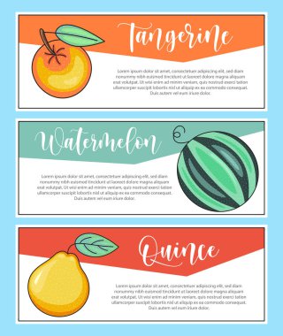 Taze meyve pankartı. Mandalina, karpuz, ayva, harfler ve illüstrasyon. Vektör stok yiyecek ve içecek tasarımı. 