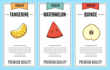Taze meyve pankartı. Bir dilim mandalina, karpuz, ayva, harfler ve illüstrasyon. Vektör stok yiyecek ve içecek tasarımı. 