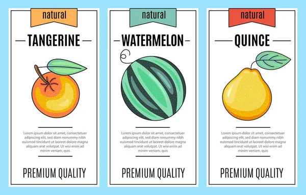 Fresh Fruit Banner Set Tangerine Watermelon Quince Lettering Illustration Vector — 스톡 벡터