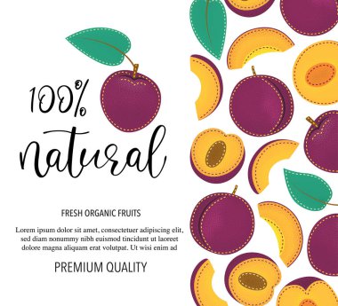 Vector background with plum, whole and pieces. Vector stock illustration isolated on white background. Card design with fruits. Product information and lettering 