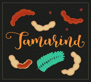 Demirhindi. Tamamı ve parçaları. Vektör hisse senedi çizimi. Siyah arka planda izole edilmiş renkli meyve seti. Harf.