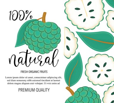 Arkaplanda elma şekeri ya da Soursop var. Beyaz arkaplanda vektör hisse senedi çizimi izole edildi. Meyveli kart tasarımı. Ürün bilgileri ve yazılar 