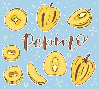 - Pepino. Tamamı ve parçaları. Vektör hisse senedi çizimi. Mavi arka planda renkli meyve seti izole edildi. Harf
