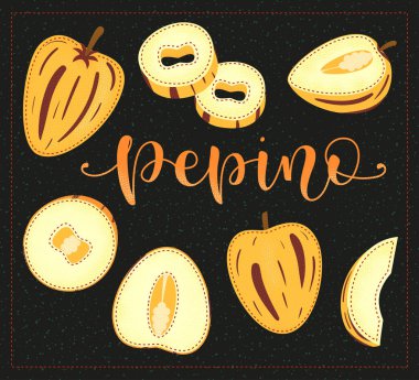 - Pepino. Tamamı ve parçaları. Vektör hisse senedi çizimi. Siyah arka planda izole edilmiş renkli meyve seti. Harf.