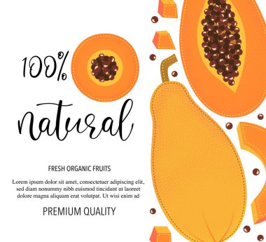 Papaya 'nın vektör geçmişi sağlam. Beyaz arkaplanda vektör hisse senedi çizimi izole edildi. Meyveli kart tasarımı. Ürün bilgileri ve harfler% 100 doğal.