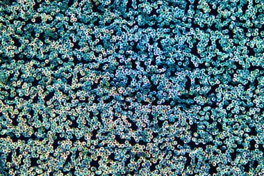 Gümüş pullu kumaş parçaları. Parlak arkaplan. Mavi parıltılı arka plan kumaş dokusu. Moda deseni.