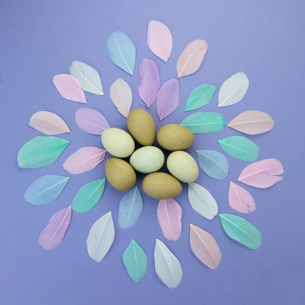 Easter background. Easter egg composition of olive eggs and pastel color feathers on violet background — Stock Photo, Image