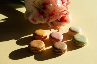 Çağdaş kompozisyon pastel badem kurabiyeleri ve çiçek Amaryllis açık sarı arka planda koyu gölgeli.