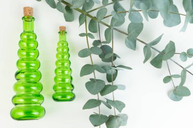 Glass green bottles and a branch of eucalyptus on a white background. Eucalyptus essential oil for spa.