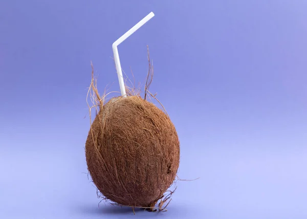 Kokosový Ořech Bílou Slámou Fialovém Pozadí — Stock fotografie
