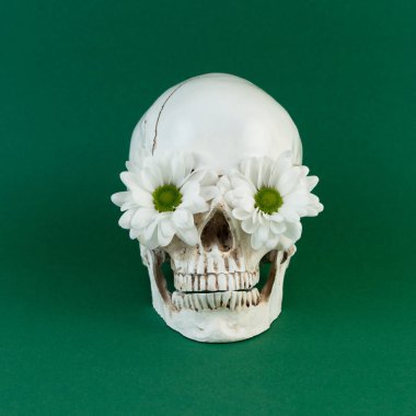 Göz çukurlarında çiçekler olan bir kafatasının yüksek kontrastlı görüntüsü.