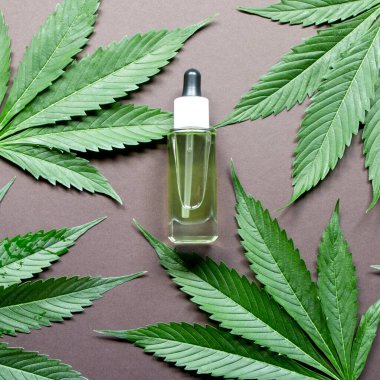 CBD yağı, THC tentür ve kenevir yapraklı cam şişe. Düzlük, minimalizm. Kozmetik CBD yağı.