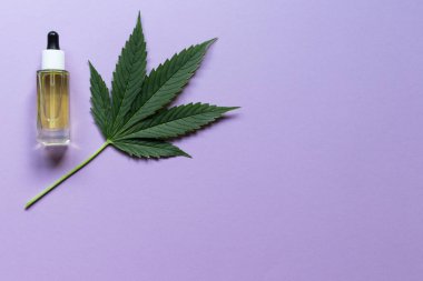 CBD yağı, THC tentür ve kenevir yapraklı cam şişe. Düzlük, minimalizm. Kozmetik CBD yağı.