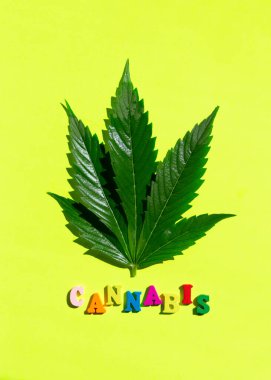 Sarı arka planda marihuana yaprağı olan çok renkli bir kelime kenevir. Minimalist kompozisyon. Düz Yat.
