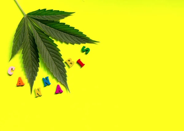 Veelkleurig grappig woord cannabis met een blad marihuana op een gele achtergrond. Minimalistische samenstelling. Platte laag. — Stockfoto
