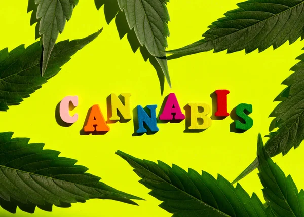 Wielokolorowe śmieszne słowo cannabis z liściem marihuany na żółtym tle. Minimalistyczna kompozycja. Kładzenie płaskie. — Zdjęcie stockowe