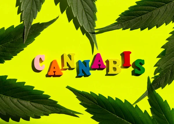 Parola divertente multicolore cannabis con una foglia di marijuana su uno sfondo giallo. Composizione minimalista. Lay piatto . — Foto Stock