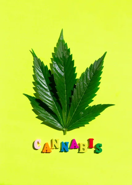 Sarı arka planda marihuana yaprağı olan çok renkli bir kelime kenevir. Minimalist kompozisyon. Düz Yat. — Stok fotoğraf