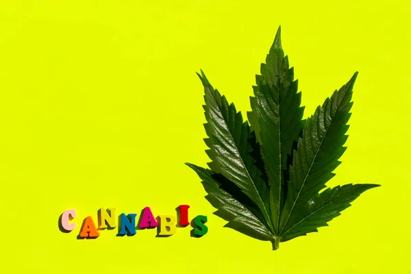 Veelkleurig grappig woord cannabis met een blad marihuana op een gele achtergrond. Minimalistische samenstelling. Platte laag. — Stockfoto