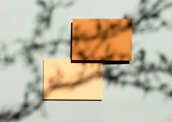 Λευκά επαγγελματικές κάρτες mockup με floral σκιές επικαλύπτει πάνω όψη επίπεδη lay. Δύο άδειες χάρτινες κάρτες. Ελάχιστη σύνθεση. — Φωτογραφία Αρχείου