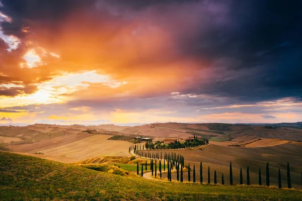 Wunderschöne Toskana Bei Sonnenuntergang Nach Regen Herbst Betonsenesi Mit Zypressen — Stockfoto