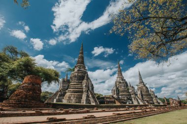 Amazing details of the Wat Maha That temple with the ruins