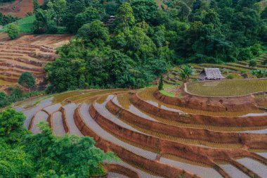 Aerial view of agriculture lands in Doi Inthanon national park, Thailand.
